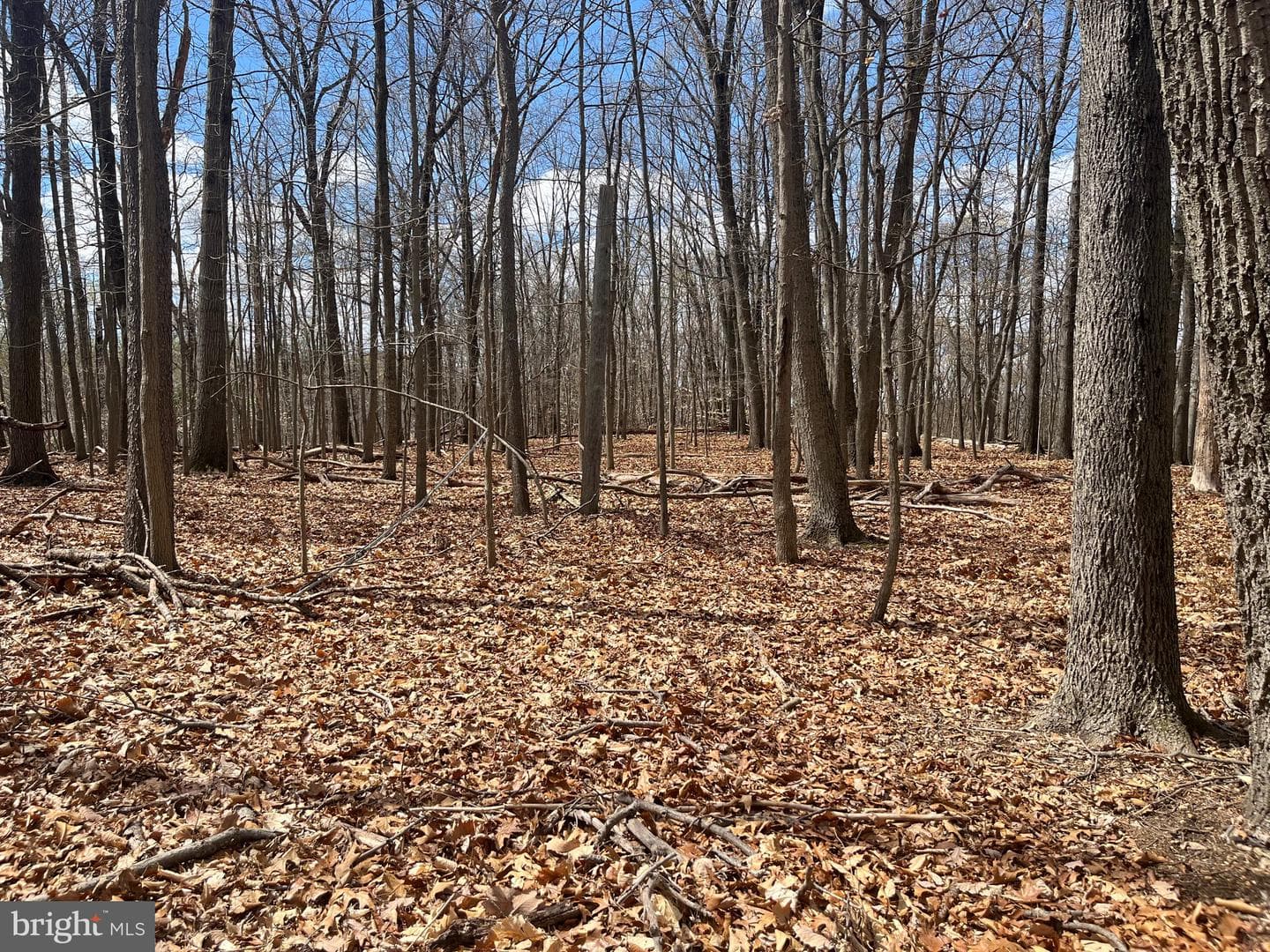 117 Spring Road photo 14
