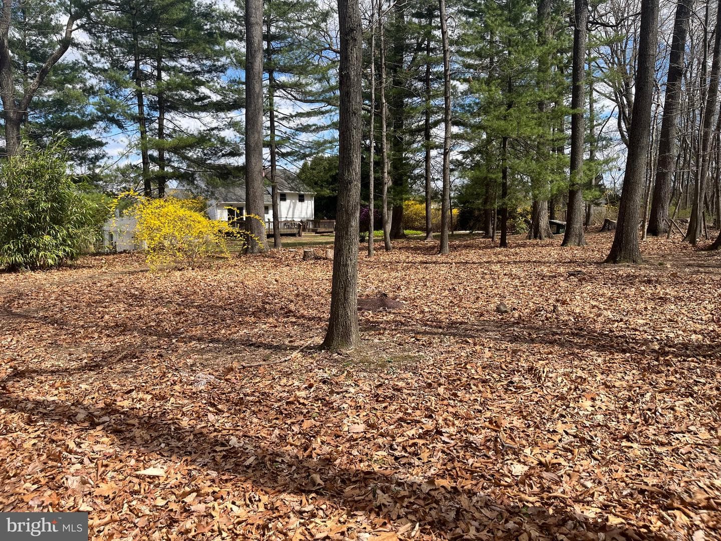 117 Spring Road photo 16