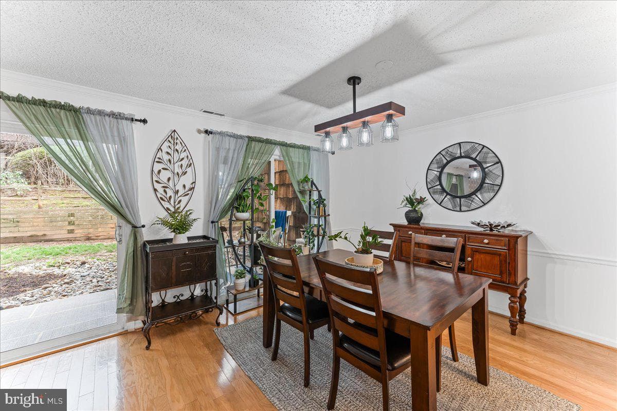 28 Hopkinson Court photo 17