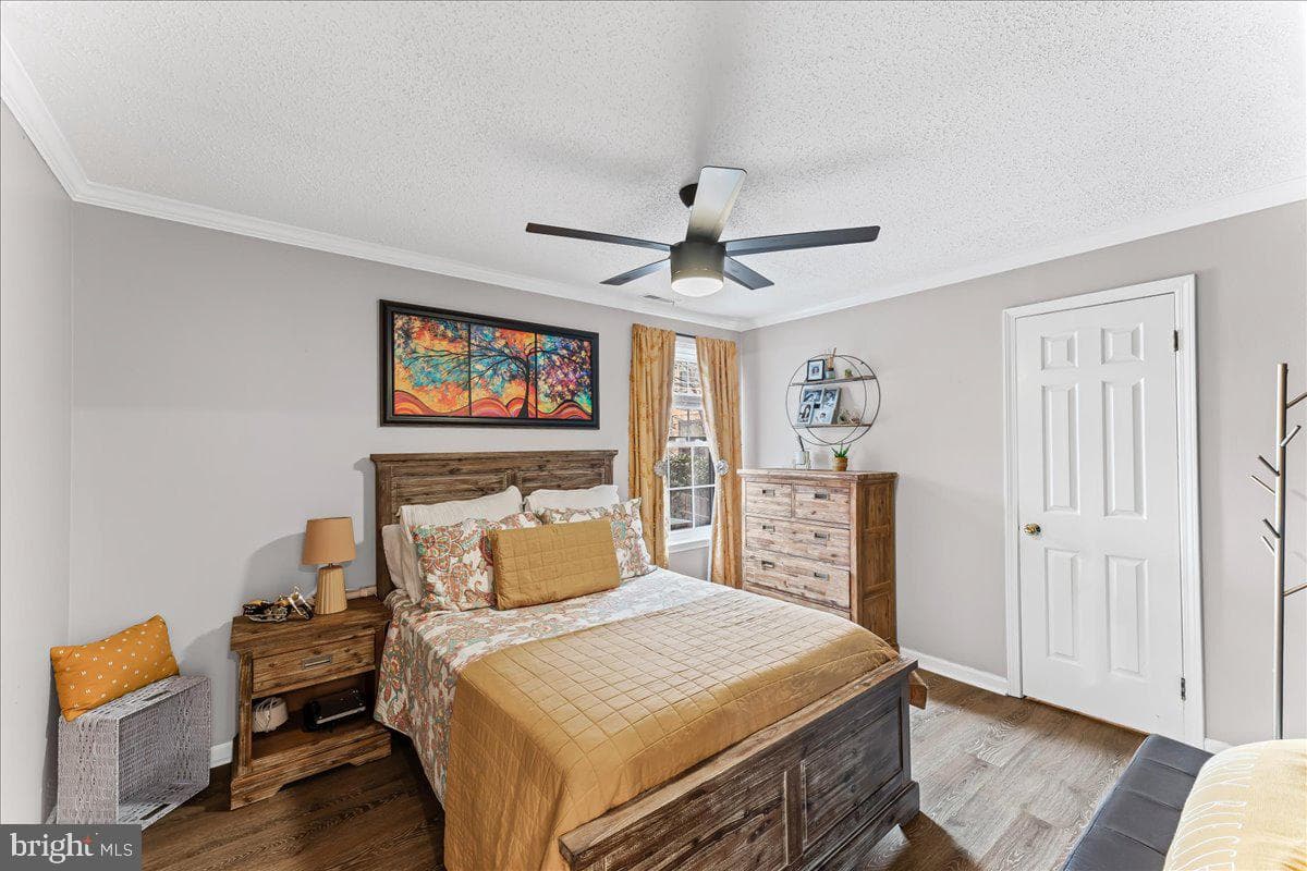 28 Hopkinson Court photo 27