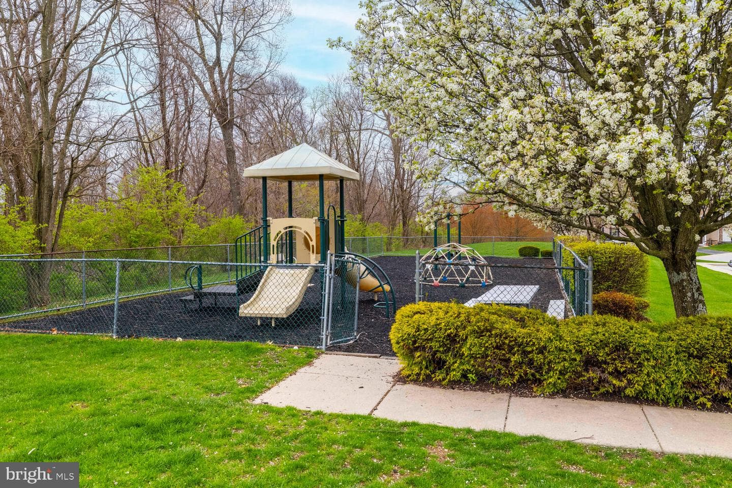 210 Tall Trees Circle photo 10