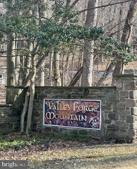 2010 Welsh Valley photo 45