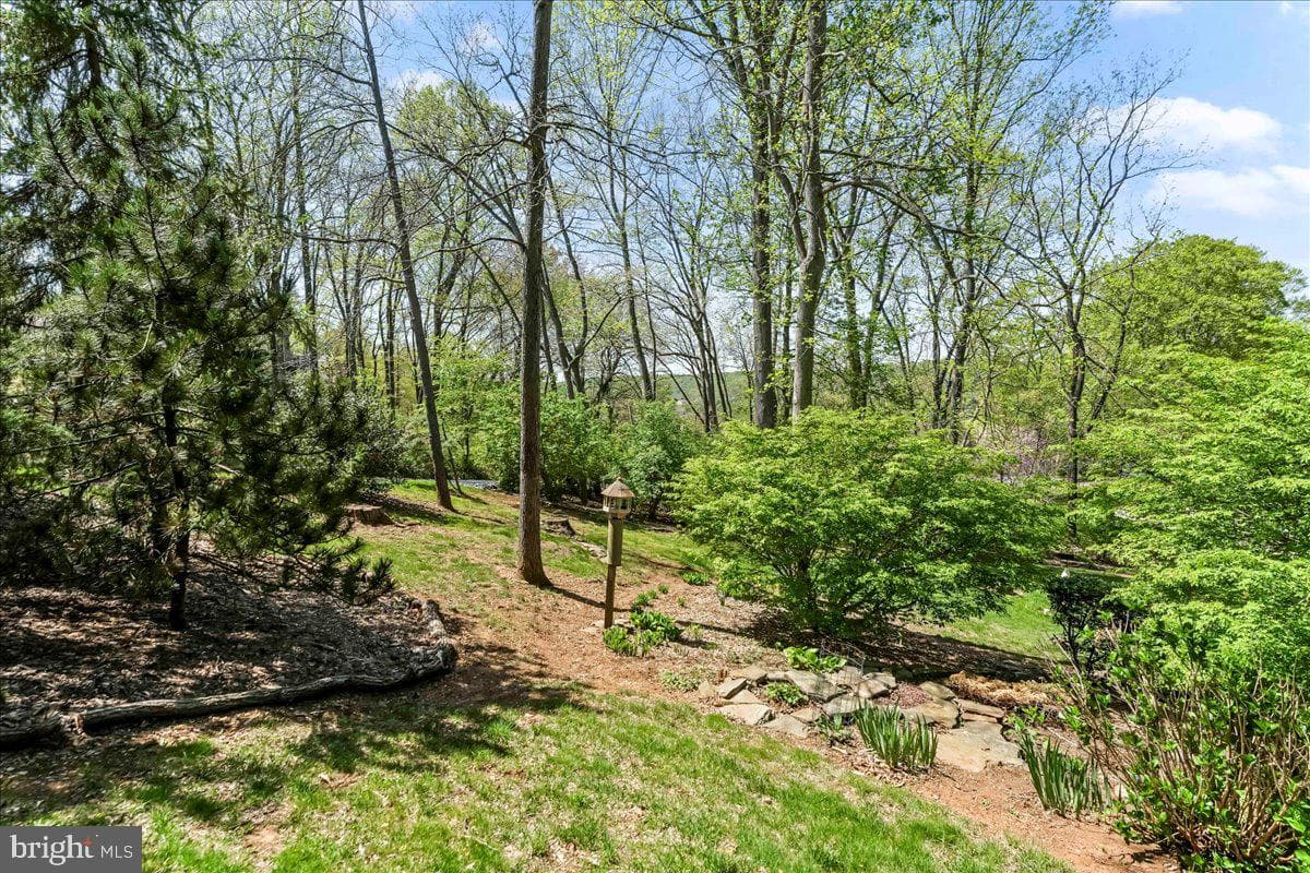 19 White Clay Drive photo 47