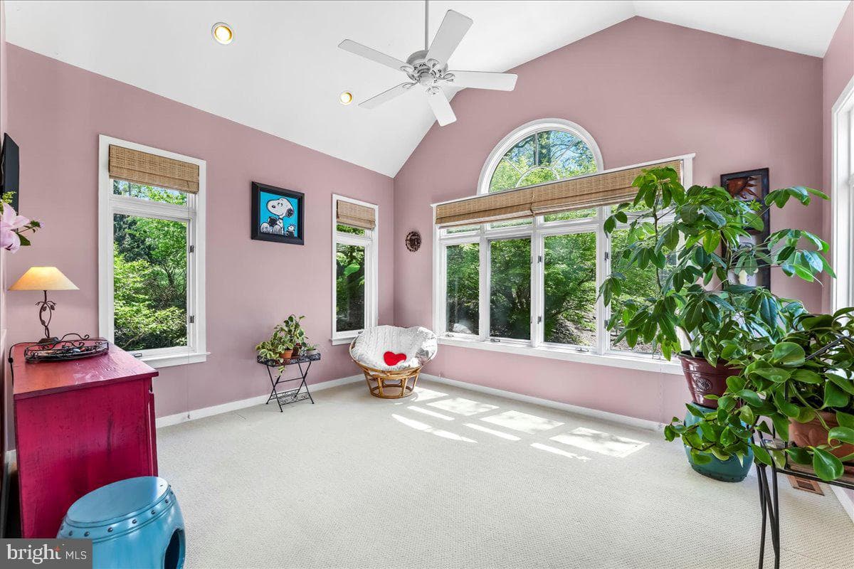 19 White Clay Drive photo 7