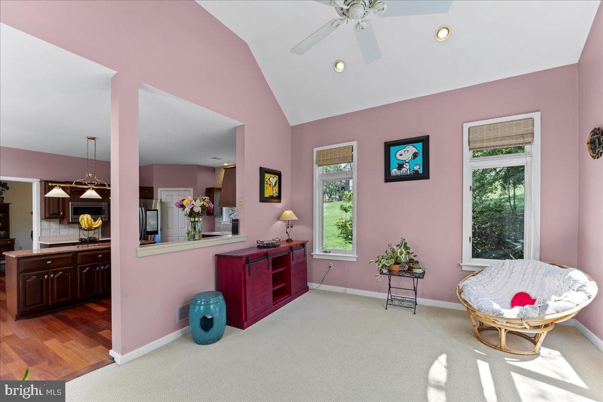 19 White Clay Drive photo 9