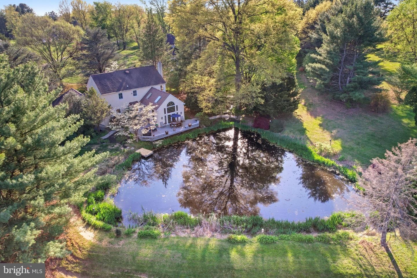 323 Maple Drive photo 8
