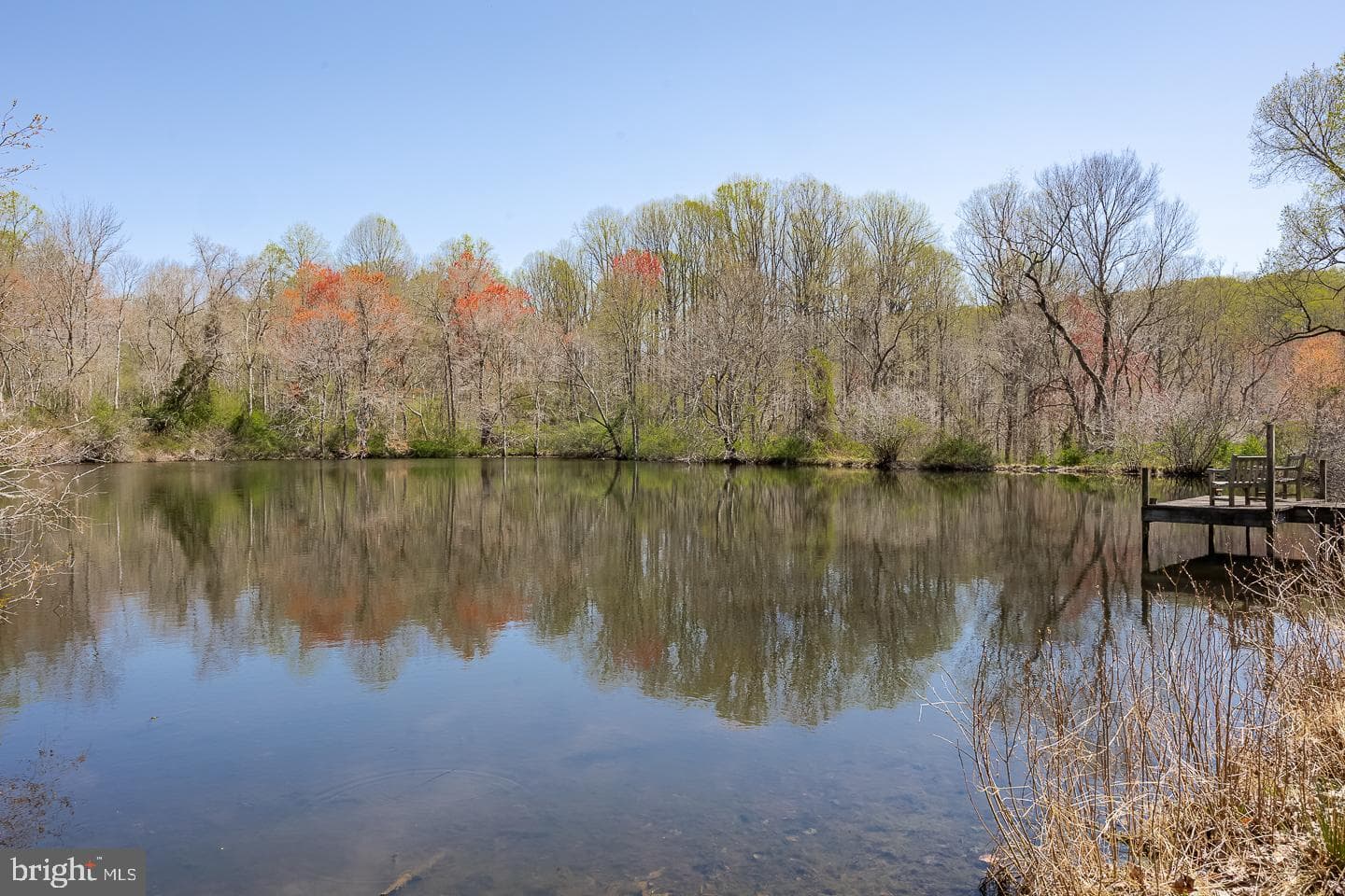 1640 Sheeder Mill photo 60