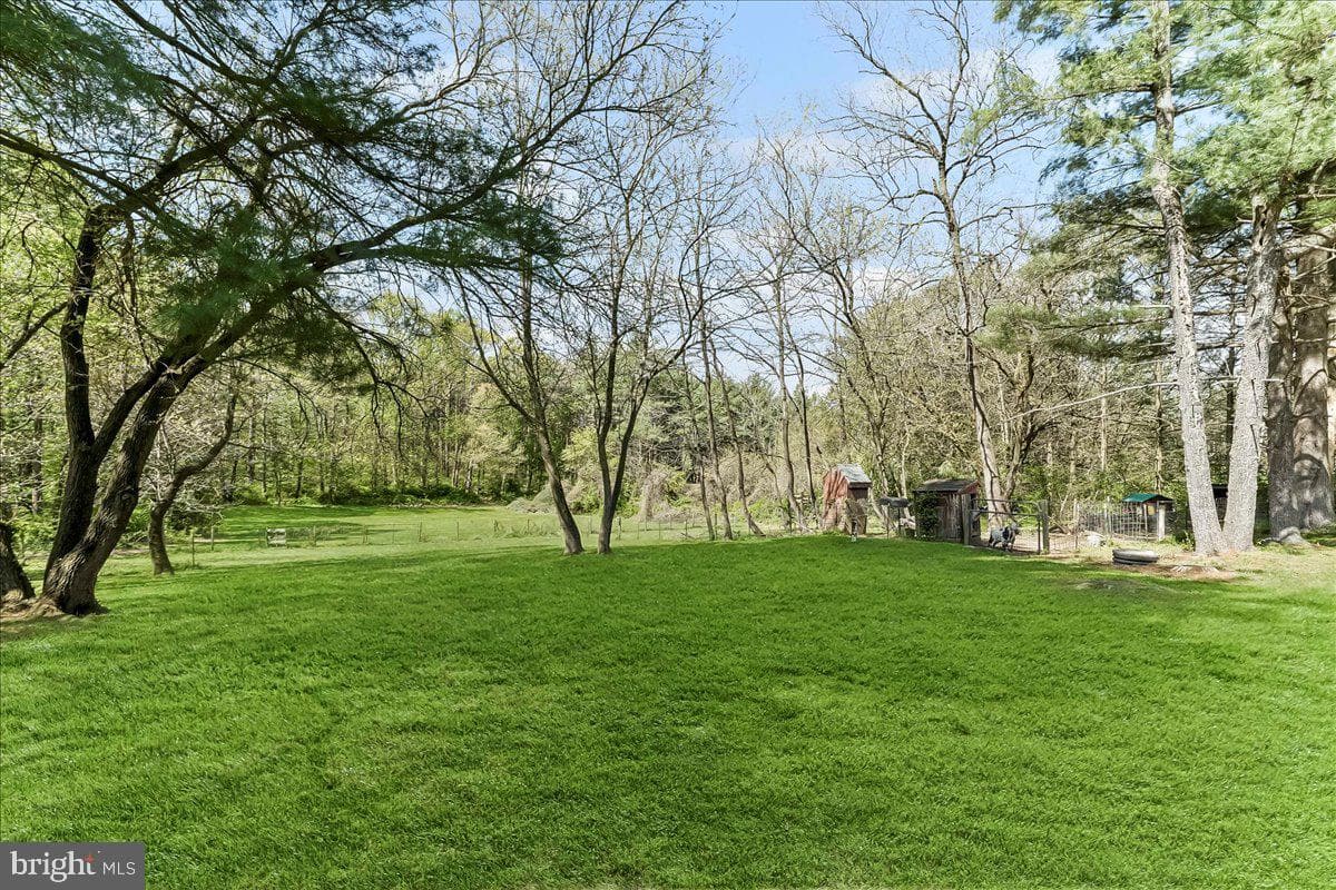 128 Elkdale Road photo 5