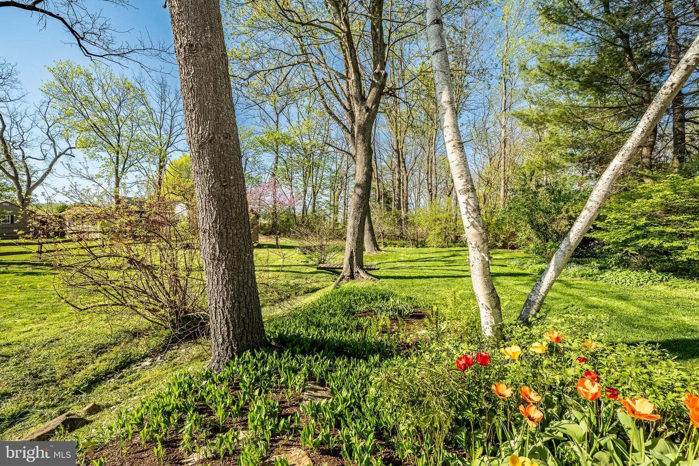 1675 W Doe Run Road photo 39