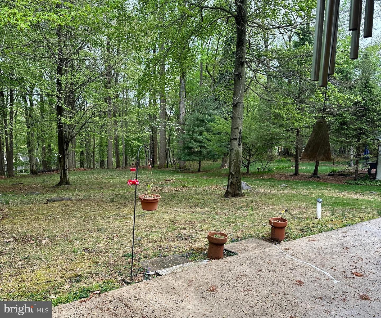 210 Walnut Hill Road photo 20