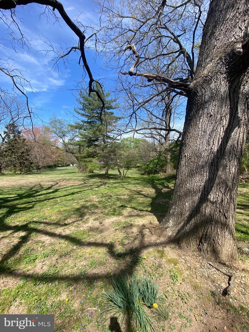 1505 Shadyside Road photo 9