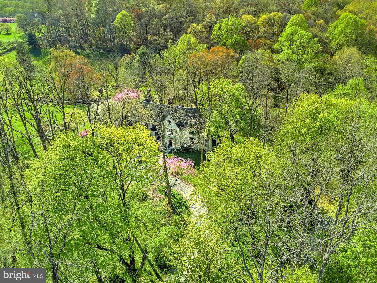 227 Jackson Road photo 56