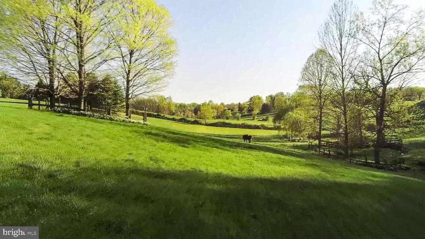 227 Jackson Road photo 57