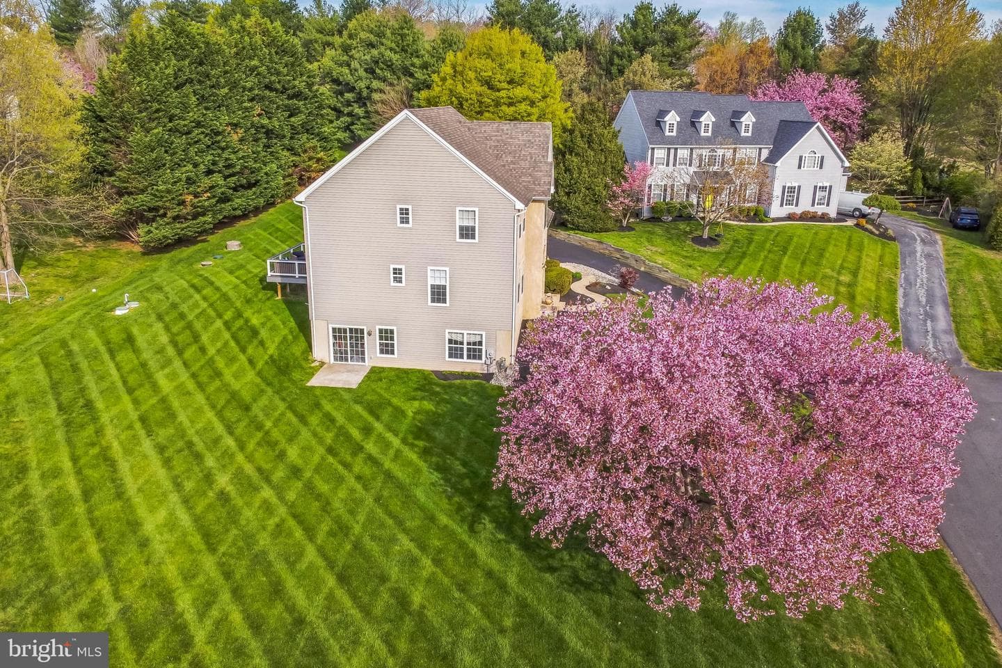 12 Rushford Place photo 2