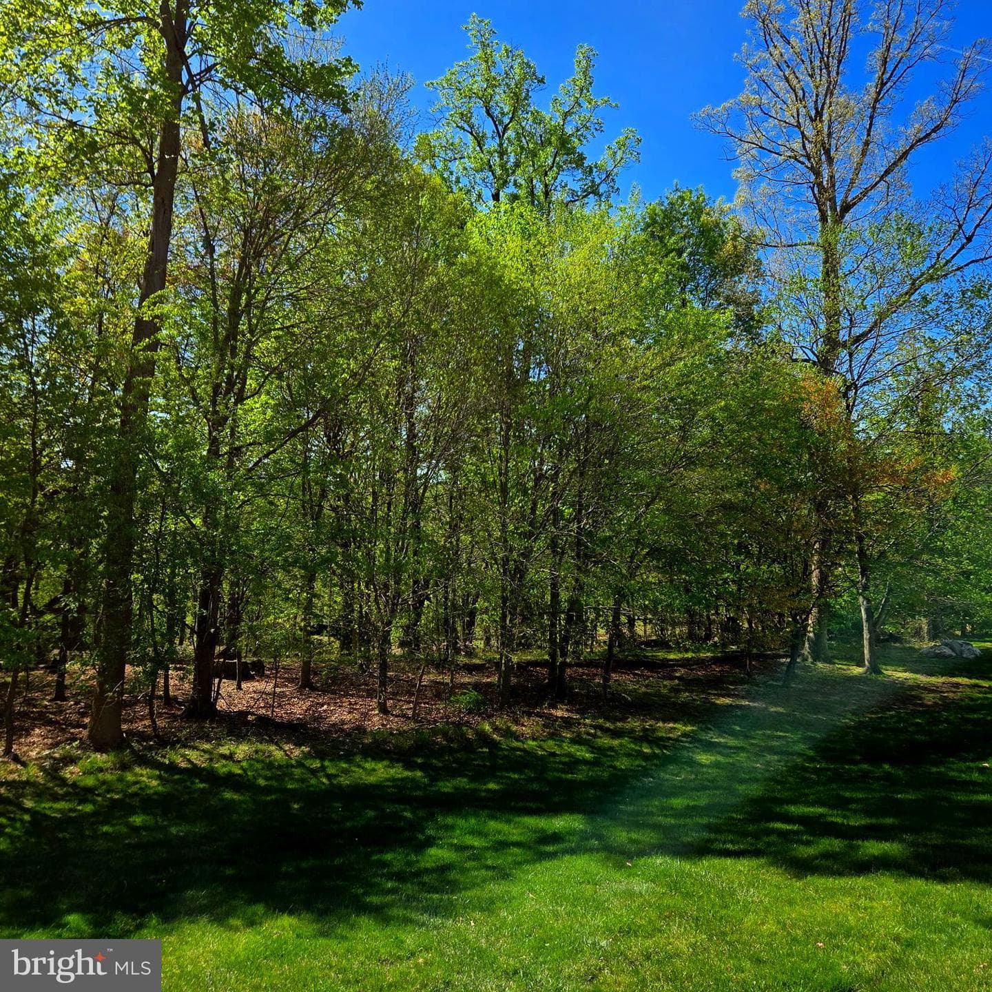 3212 Silbury Hill photo 6