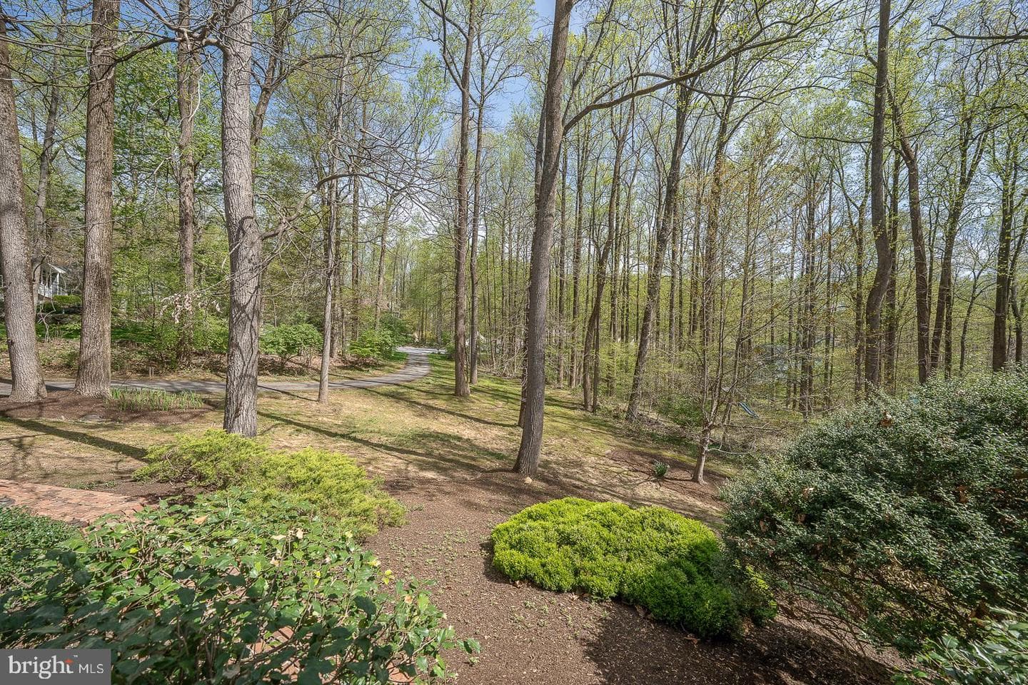 266 Deerhaven Way photo 59