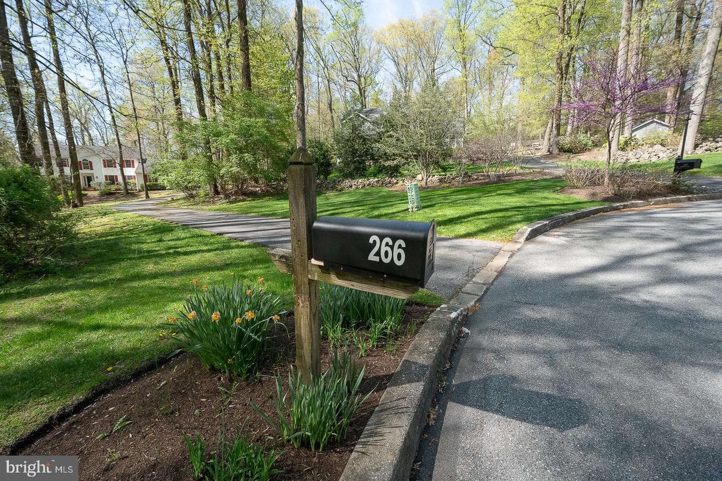 266 Deerhaven Way photo 65