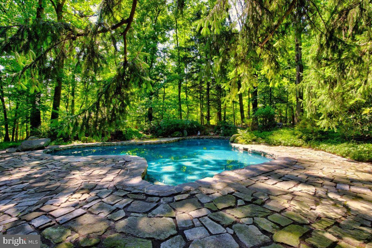 560 Clothier Springs Road photo 59