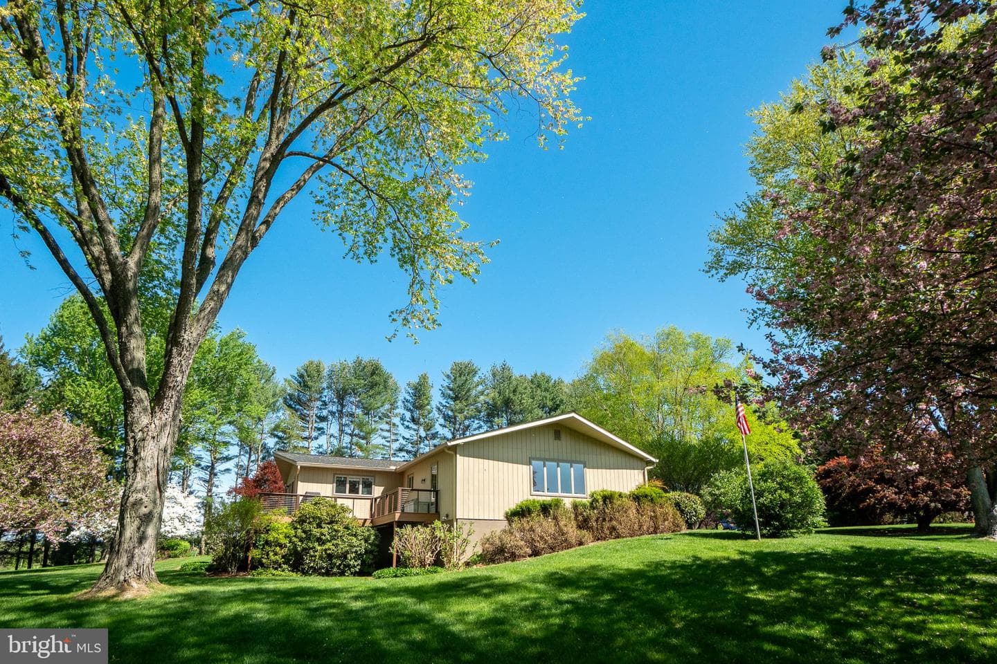 372 Lucky Hill Road photo 37
