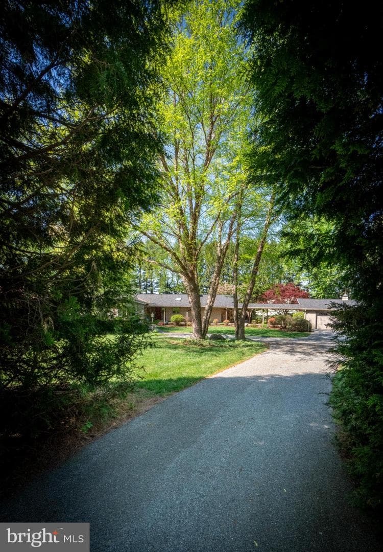 372 Lucky Hill Road photo 41