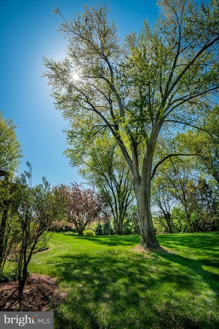 372 Lucky Hill Road photo 42