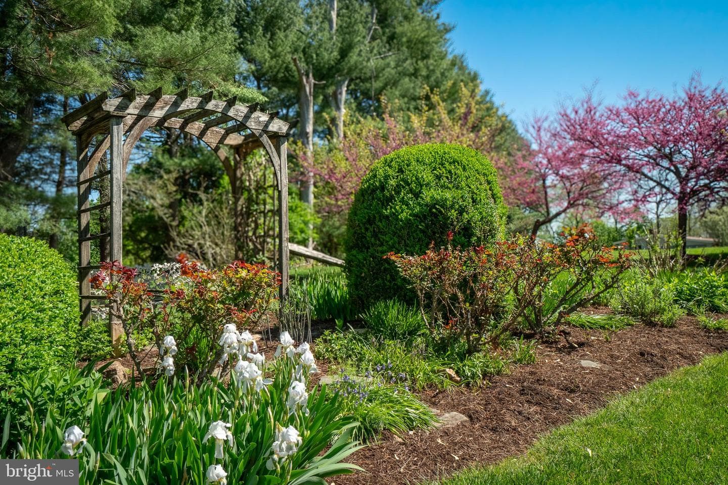 372 Lucky Hill Road photo 5