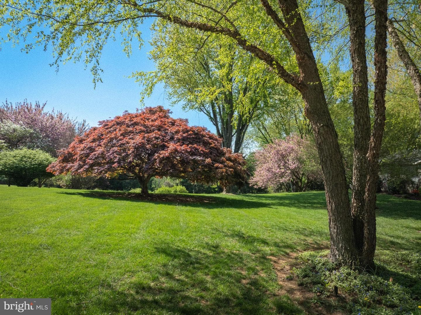 372 Lucky Hill Road photo 50