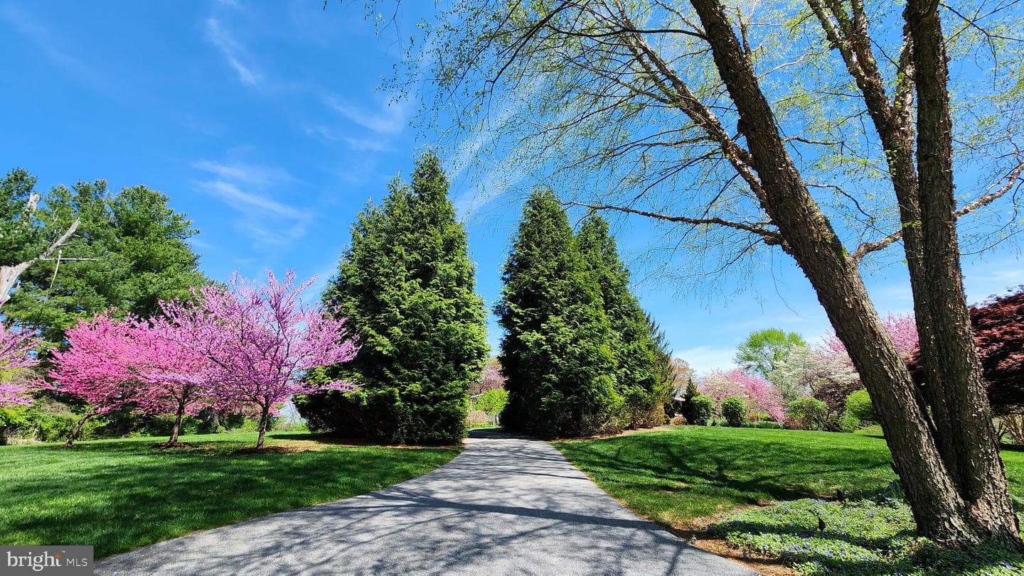 372 Lucky Hill Road photo 52