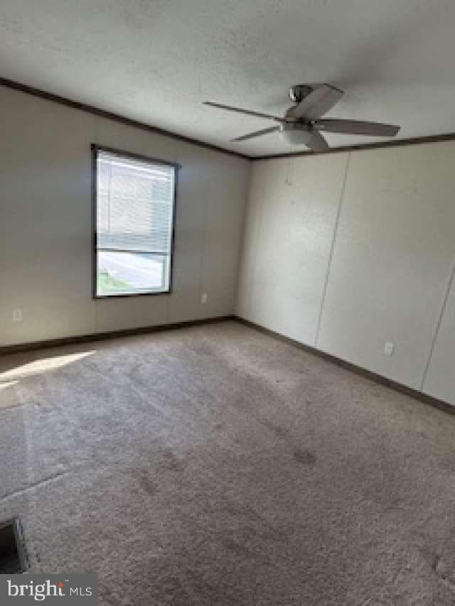 119 Keystone Court photo 10