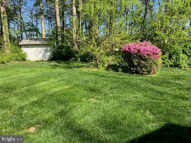 346 Fremont Road photo 8