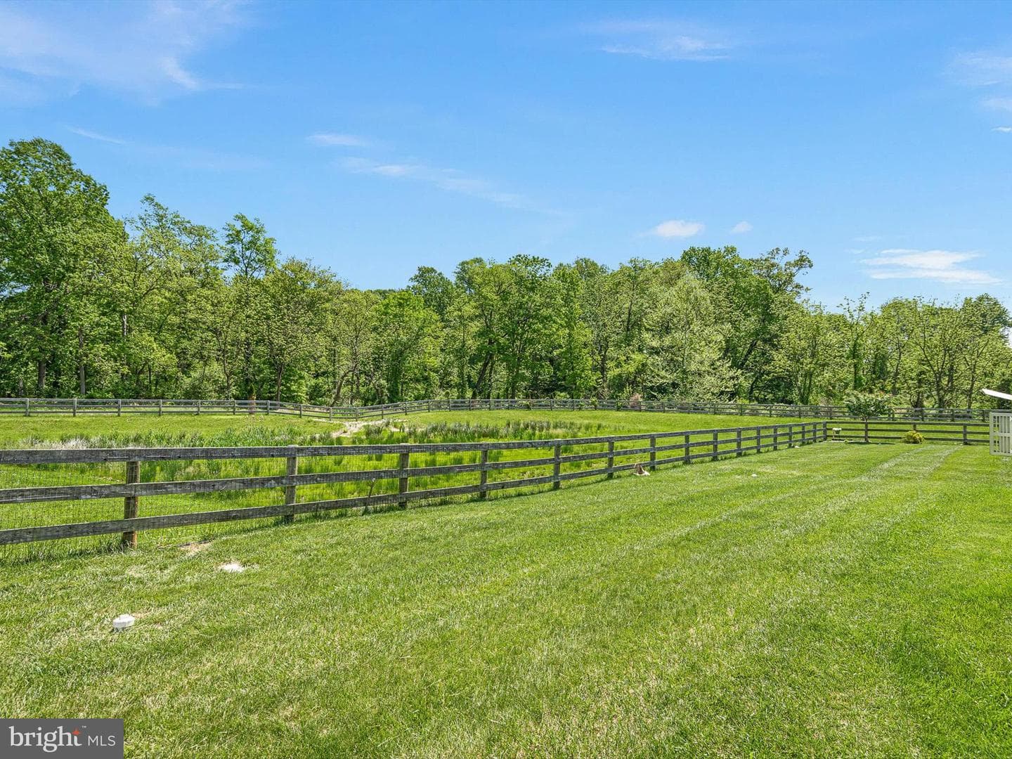 297 Letitia Manor Drive photo 8