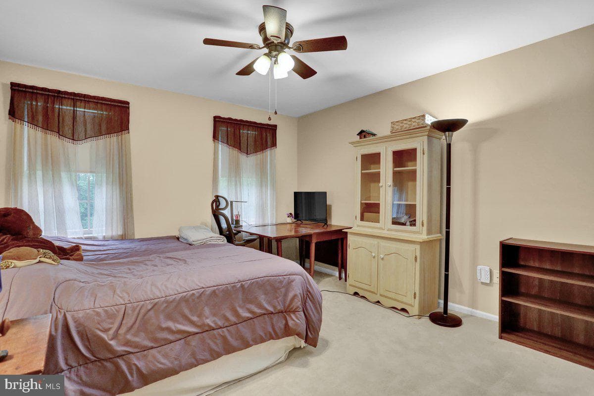 198 Bard Road photo 29