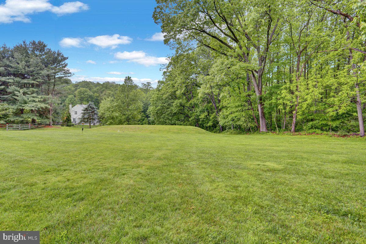 198 Bard Road photo 55
