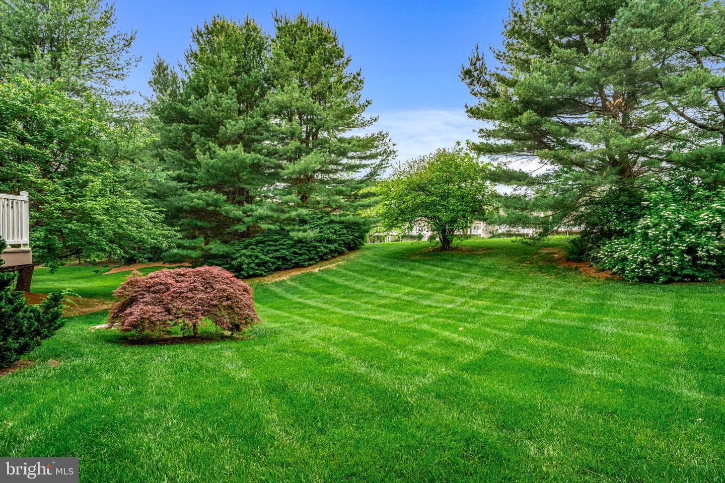 115 Hartefeld Drive photo 41
