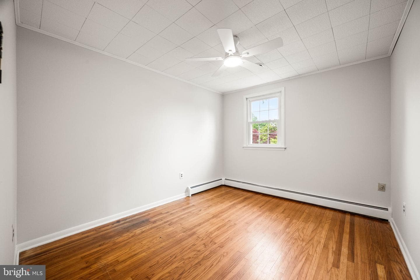 402 Rockland Avenue photo 16