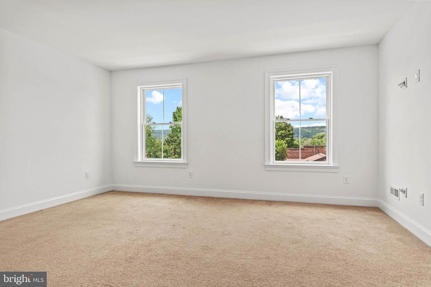 103 Agnes Grace Lane photo 20