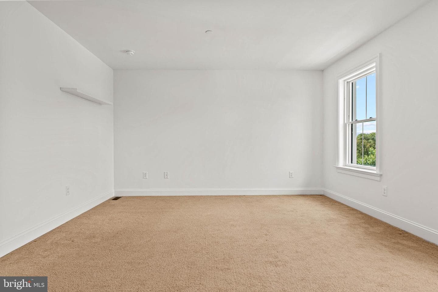 103 Agnes Grace Lane photo 21