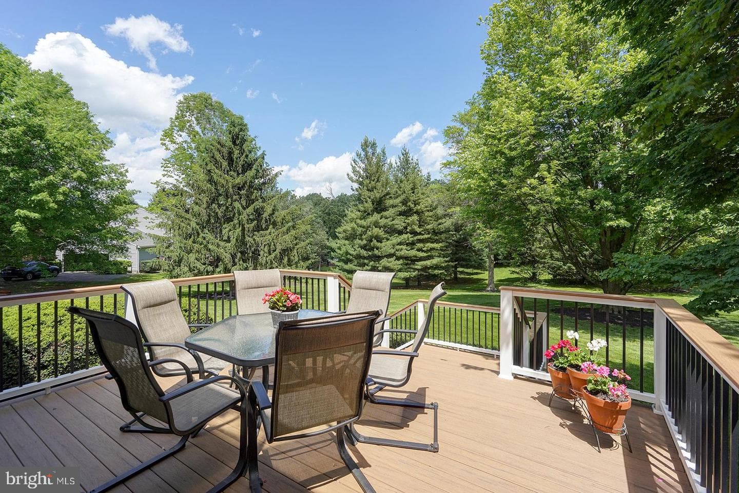 12 Meadow Woods Lane photo 51