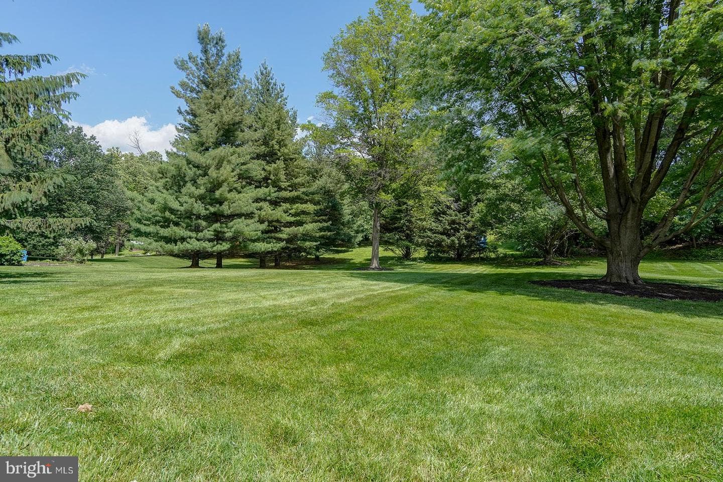 12 Meadow Woods Lane photo 56