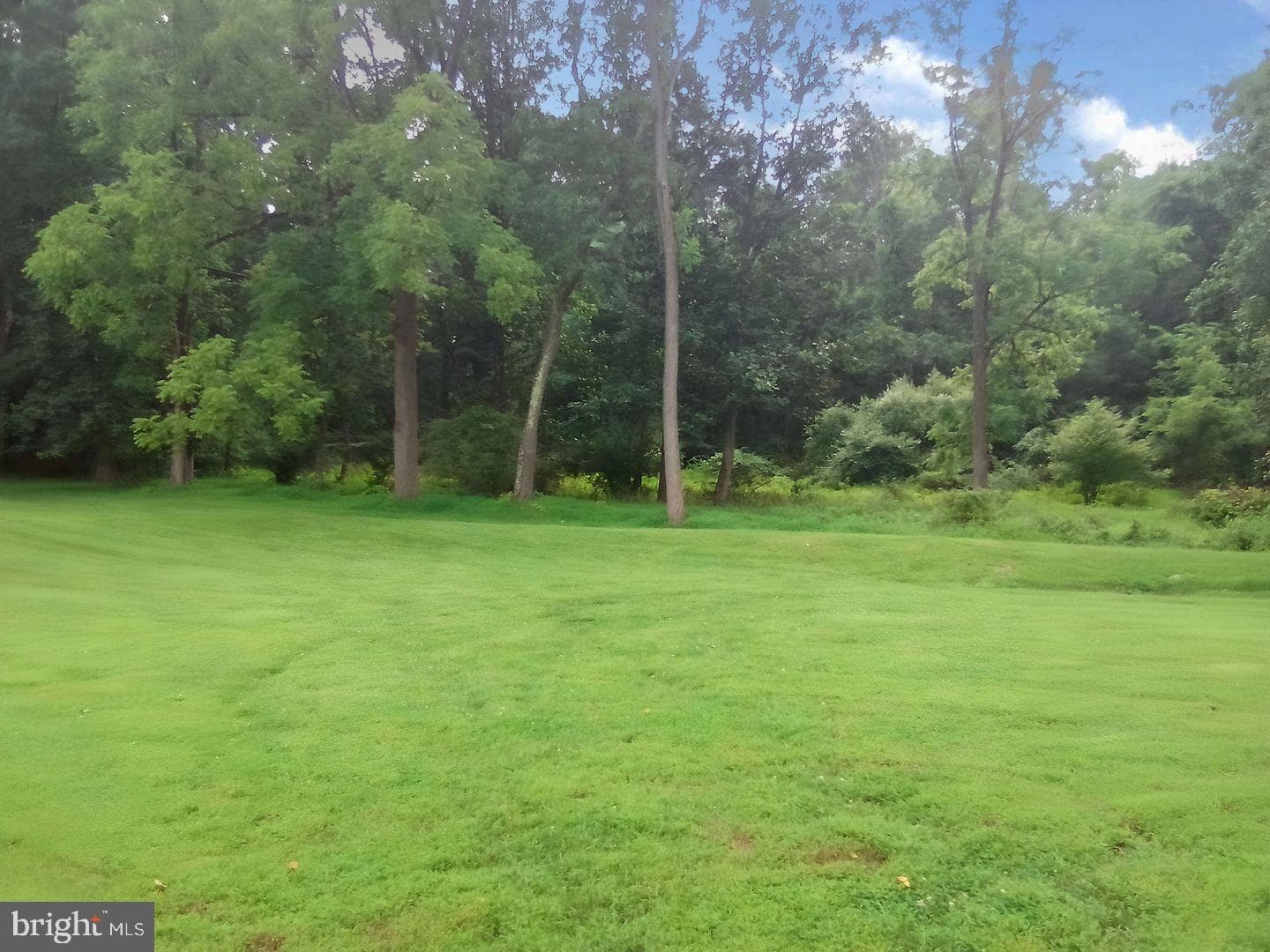 1707 Chantilly Lane photo 13