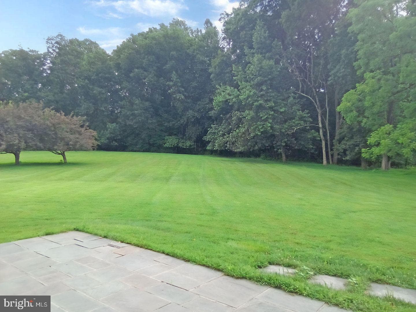 1707 Chantilly Lane photo 15