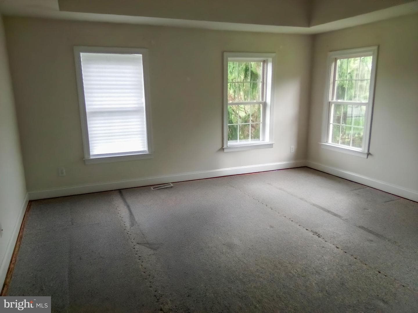 1707 Chantilly Lane photo 5