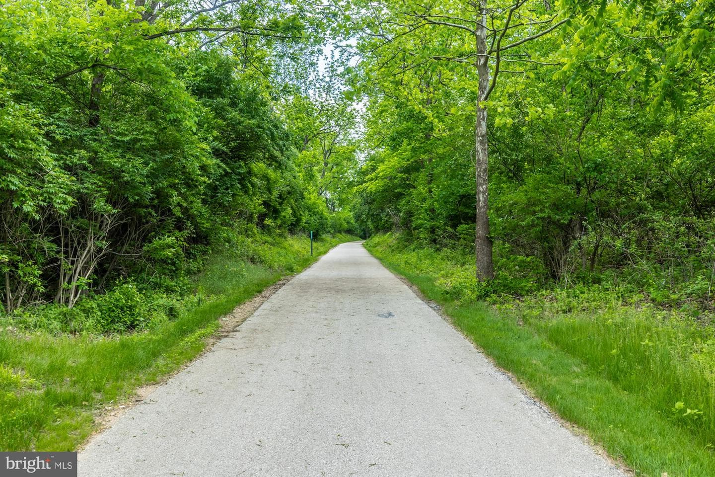 17 Doe Lane photo 49