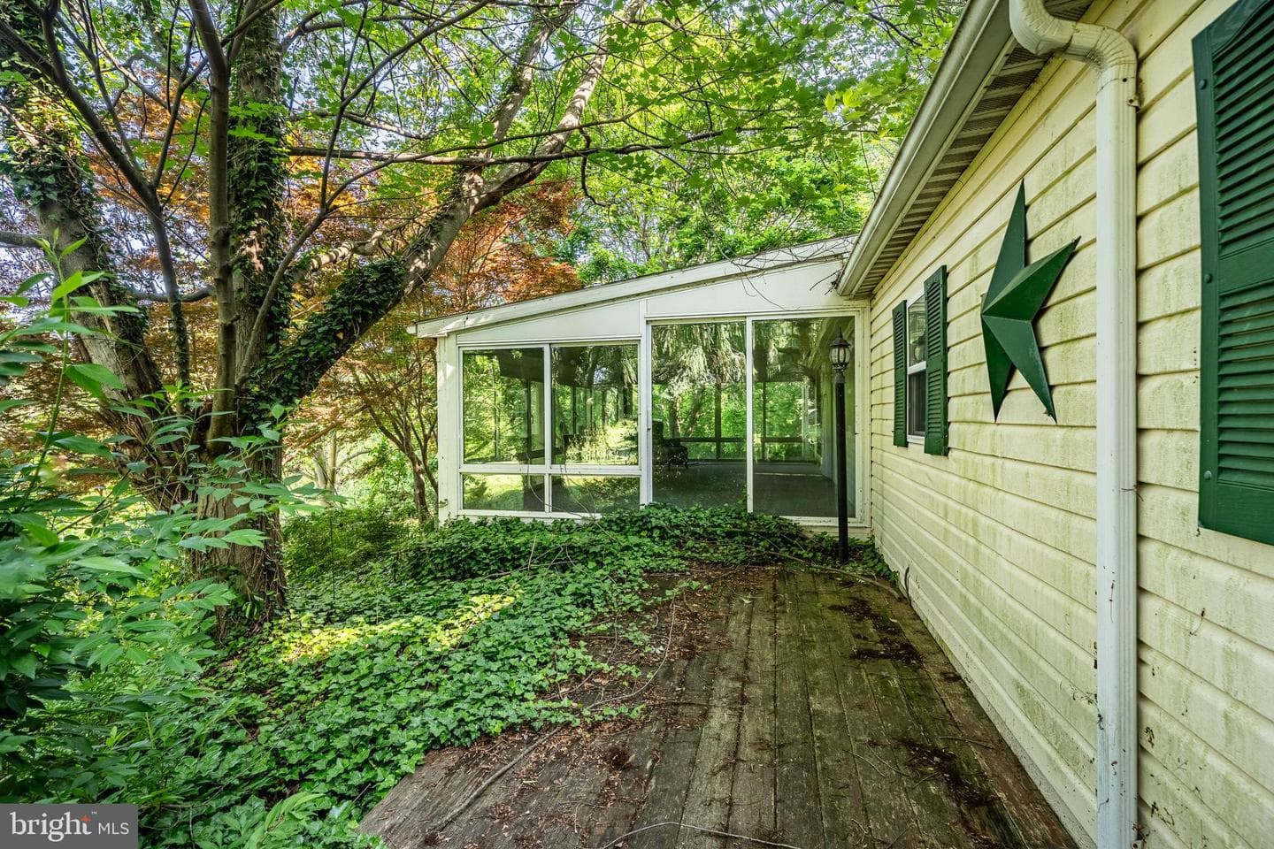 505 Wertz Road photo 10