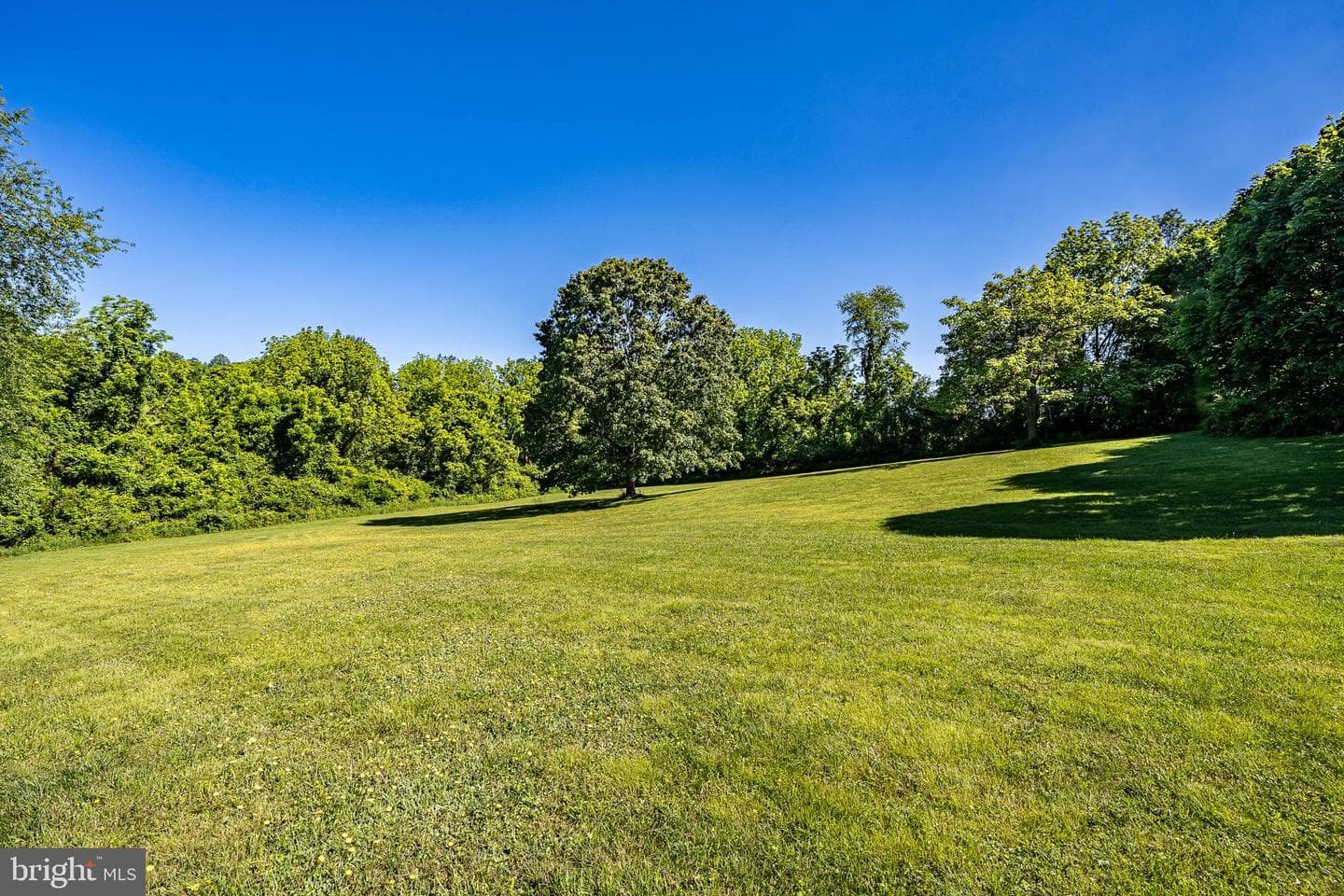 505 Wertz Road photo 30