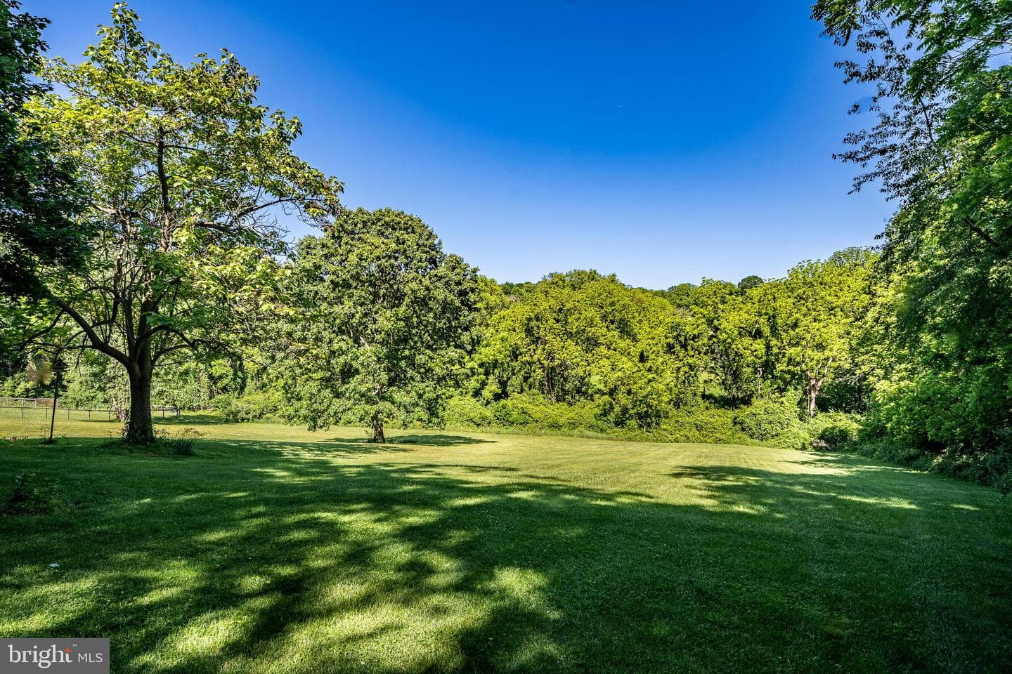 505 Wertz Road photo 6