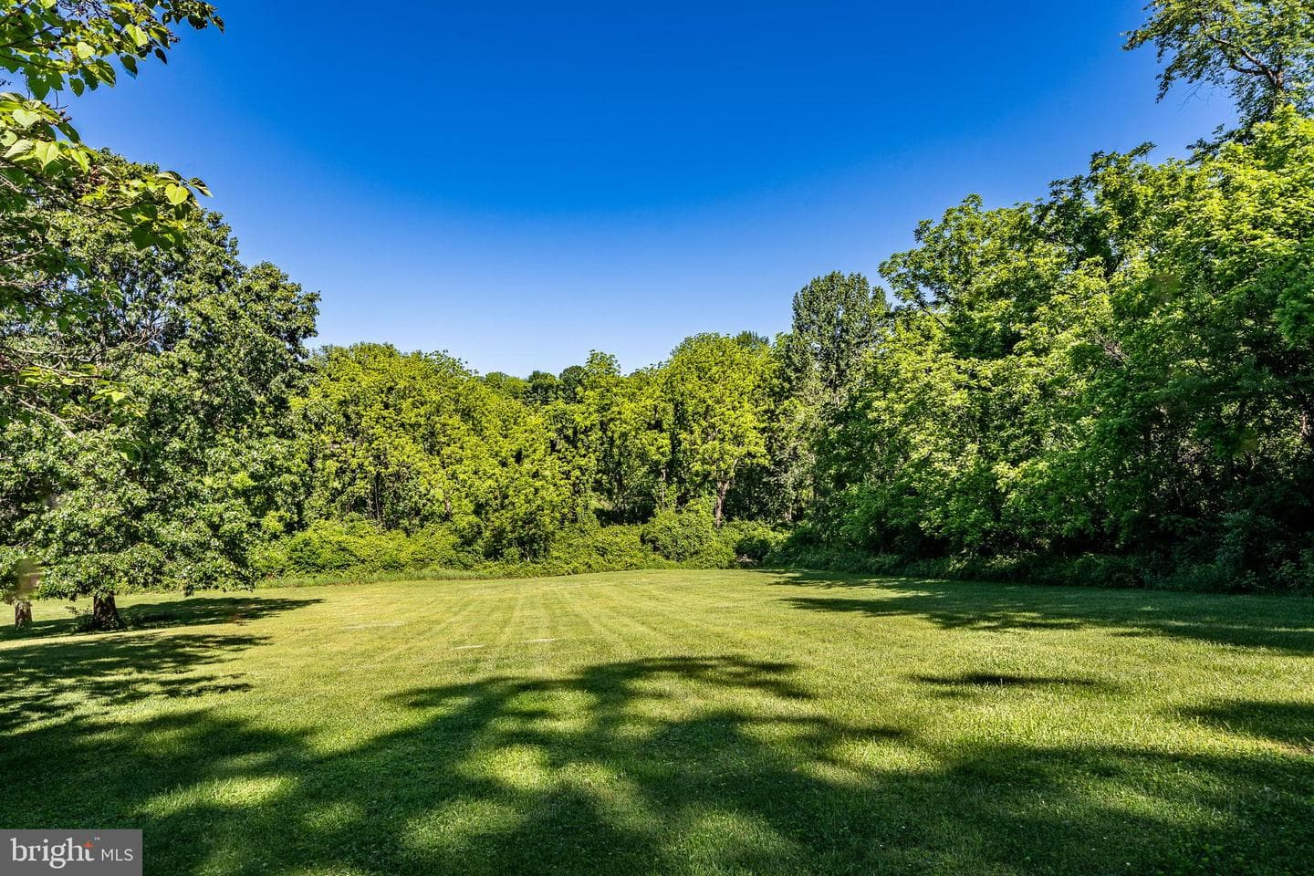 505 Wertz Road photo 7