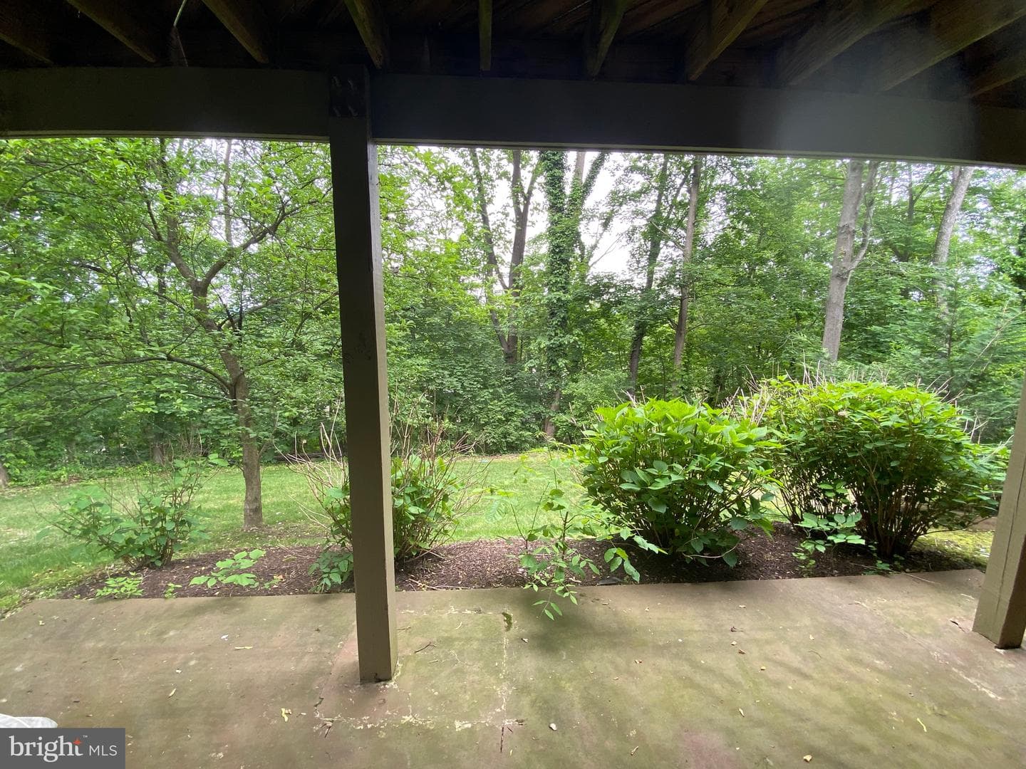 412 Lynetree Drive #13-A photo 26