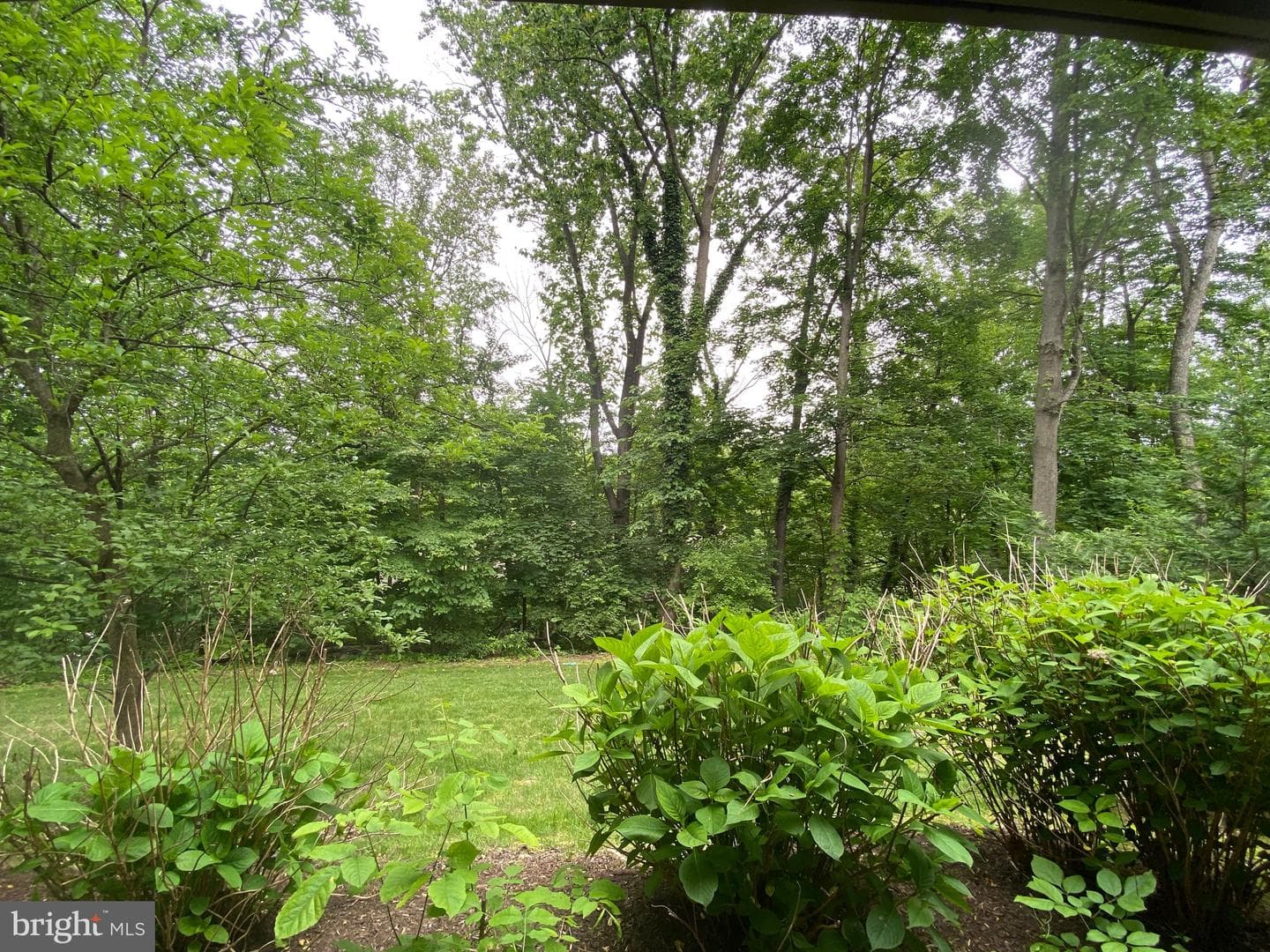 412 Lynetree Drive #13-A photo 28