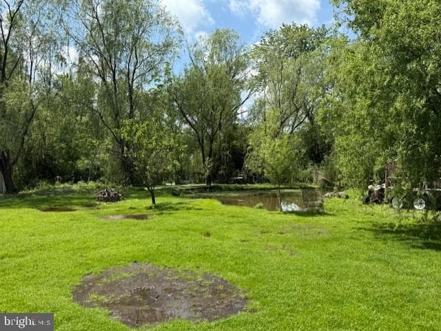 1108 W Lincoln Highway photo 3